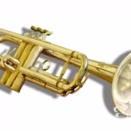 Trąbka na ślub, rocznicę, lub inne uroczystości. - Oprawa muzyczna