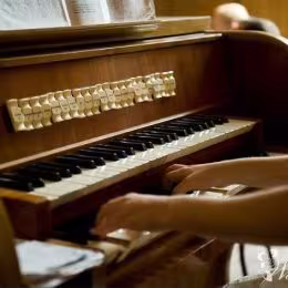 Zespół muzyczny Smak  - Oprawa muzyczna