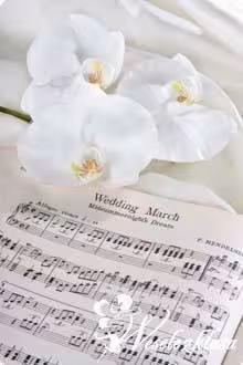 Oprawa Muzyczna - SKRZYPCE i GITARA - Oprawa muzyczna