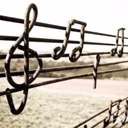 Oprawa wokalna ślubu - Oprawa muzyczna