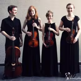 Kwartet Smyczkowy Duemila - Oprawa muzyczna