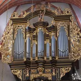 organy, skrzypce - Ave Maria, Marsz weselny i inne - Oprawa muzyczna