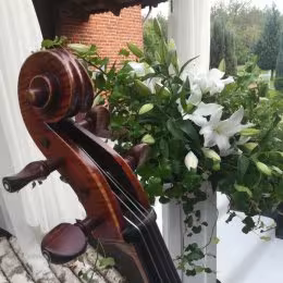 Kwartet Smyczkowy na ślub - Kwartet Smyczkowy Boccherini - Oprawa muzyczna