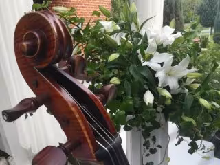 Kwartet Smyczkowy na ślub - Kwartet Smyczkowy Boccherini