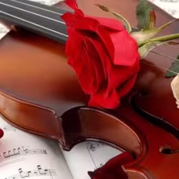 Skrzypce na ślub oraz inne uroczystości  - Agnieszka Zien - Oprawa muzyczna