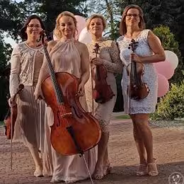 Kwartet Smyczkowy Ladies - Oprawa muzyczna