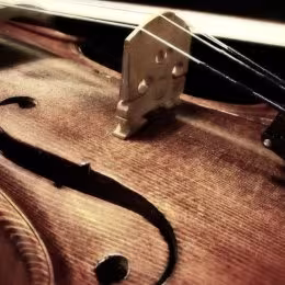 Skrzypek, skrzypce; oprawa muzyczna - Wojciech Koziński - Oprawa muzyczna