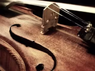 Skrzypek, skrzypce; oprawa muzyczna - Wojciech Koziński