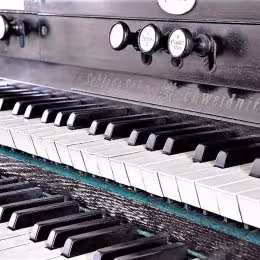 Organista na ślub - Oprawa muzyczna