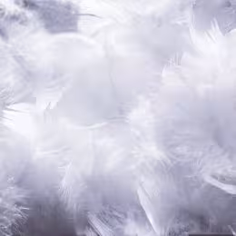 Ślubne dźwięki - muzyczna oprawa ślubów - Oprawa muzyczna