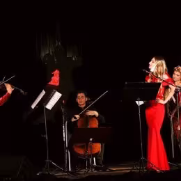 Kwartet  - Oprawa muzyczna