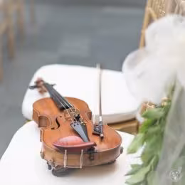 Skrzypce na ślub / Oprawa muzyczna - Oprawa muzyczna