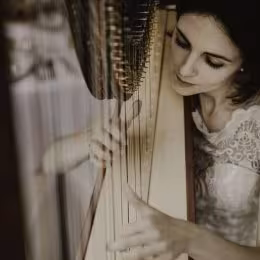 Harfa - oprawa muzyczna - Oprawa muzyczna