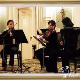 Mea Trio - Oprawa muzyczna