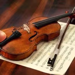 Zespół Violino - Oprawa muzyczna