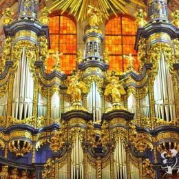 Karol Wojtowicz - organista na ślub - Oprawa muzyczna