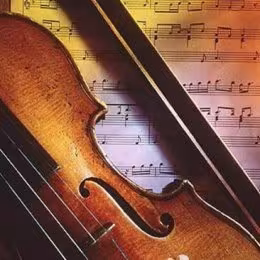 Skrzypce - Malwina - Oprawa muzyczna