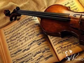 Oprawa muzyczna na skrzypcach