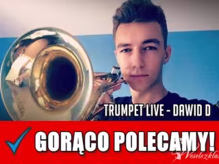 • TRĄBKA NA ŚLUB/WESELE ♫ •