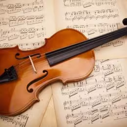 Skrzypce na ślub Joanna Oleksy - Oprawa muzyczna