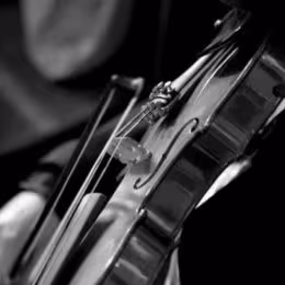 Skrzypce na ślub - Oprawa muzyczna