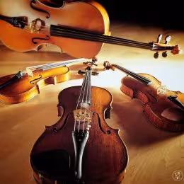 Kwartet smyczkowy - Oprawa muzyczna