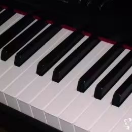 Pianista Piotr Zapadka - Oprawa muzyczna