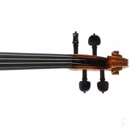 Skrzypce na ślub - Oprawa muzyczna