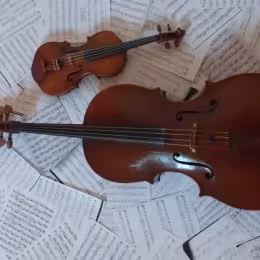 Oprawa muzyczna skrzypce, wiolonczela, wokal - Oprawa muzyczna