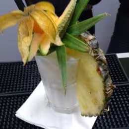 Piotr Borecki - Atrakcje weselne