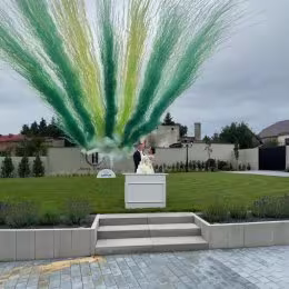 Artus Kolorowe miny dymne - Atrakcje weselne