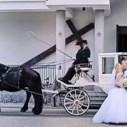 KonioLandia - Atrakcje weselne