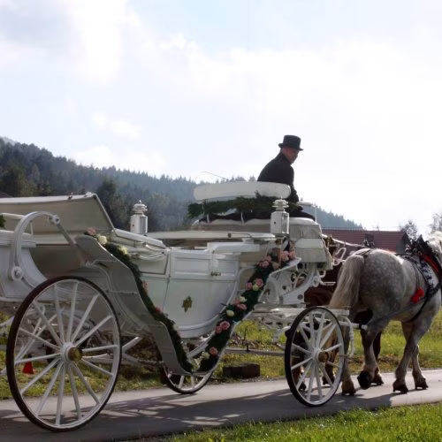 Kareta / bryczka Powozem w górach - Auto do ślubu
