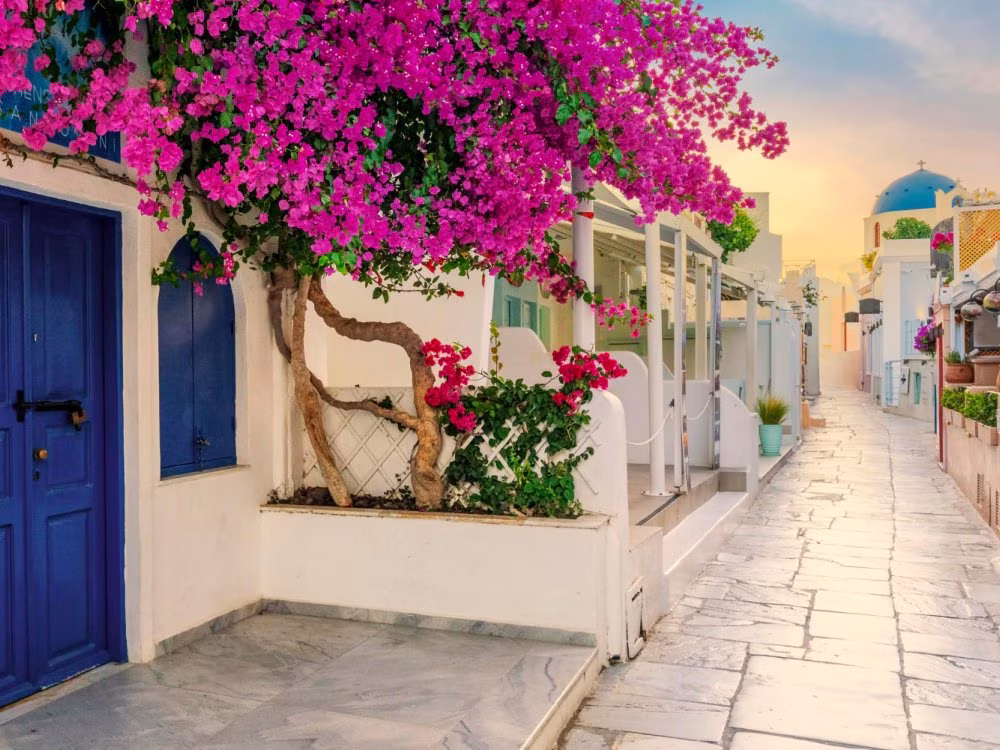 ślub na Santorini